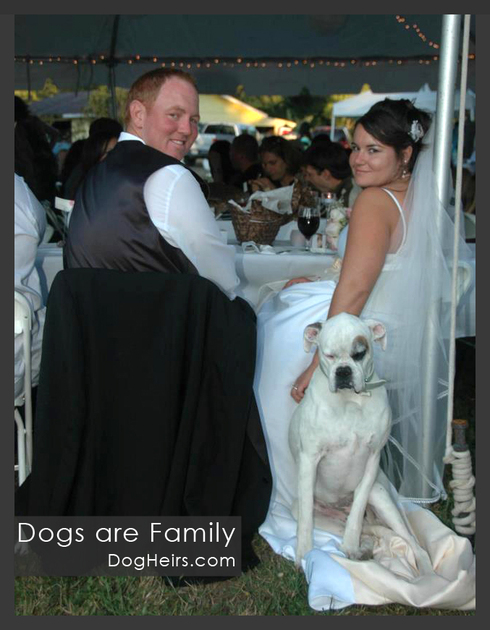 Dogs are family at weddings