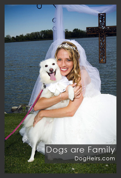 Dogs are family at wedding