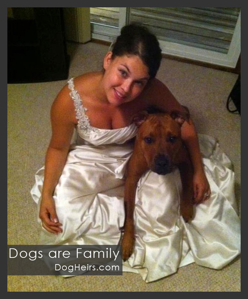 Dogs are family at weddings