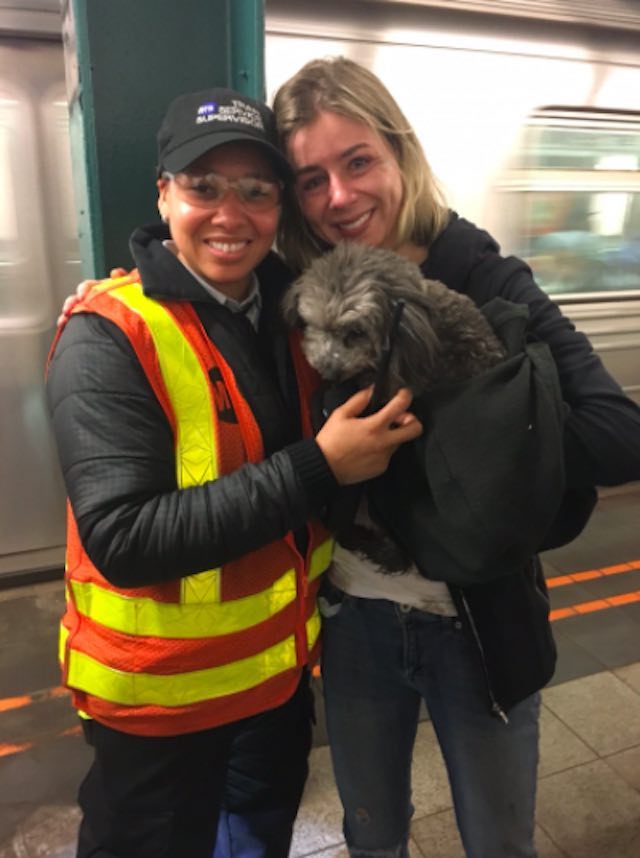 lost dog on subway rescued