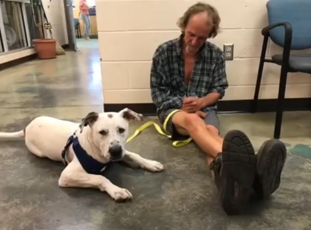 Reunion of a Lifetime: Homeless Man Overwhelmed with Emotion After Finding Lost Dog /1 - Nine Thousand Years