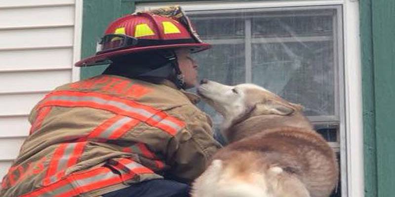Viral photo: Firefighter gets kiss from dog he rescued from roof