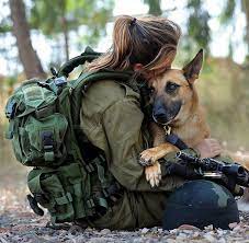 Tình bạn đẹp giữa người lính và chú chó
