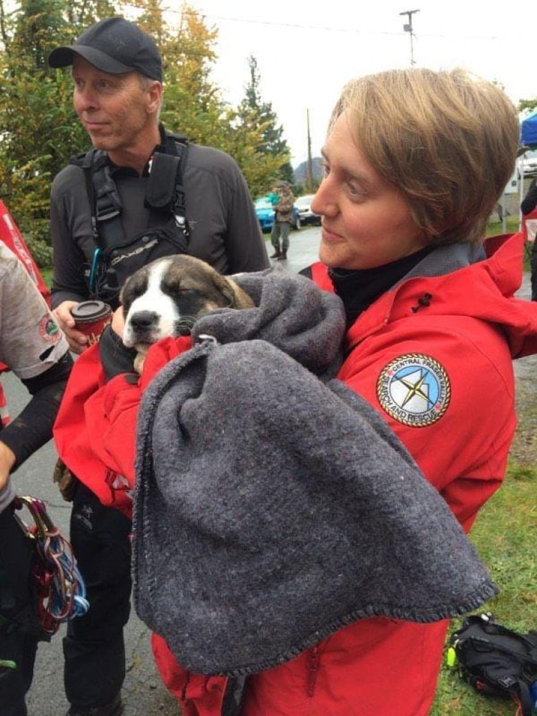 Puppies rescued from cliff after 