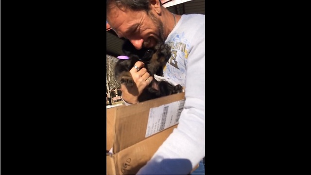 Emotional Dad Receives German Shepherd Puppy Surprise