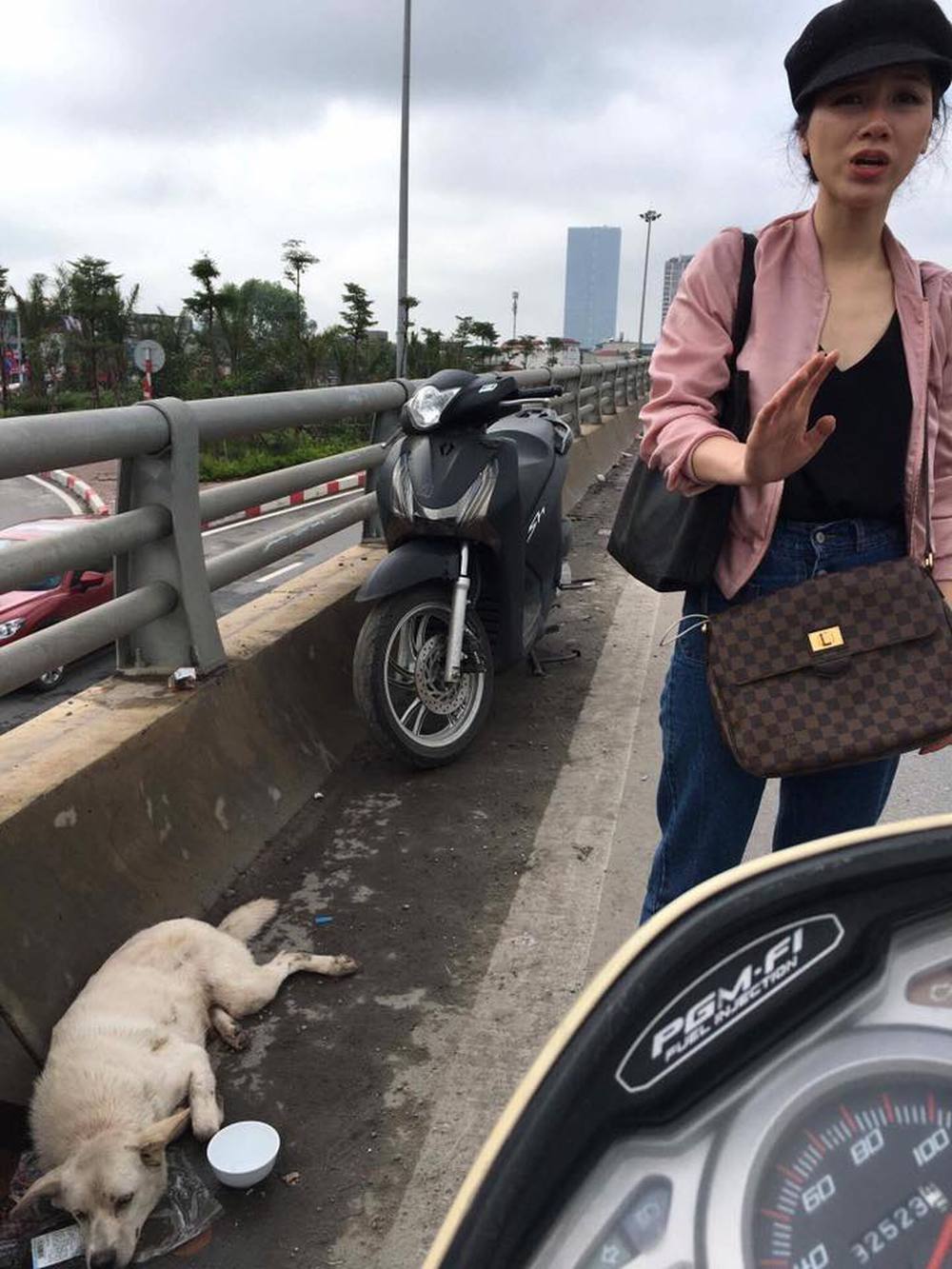Chú chó bị đâm trên phố Hà Nội: Lòng thương và lời đề nghị thẳng thắn tới lạnh người - Ảnh 5.