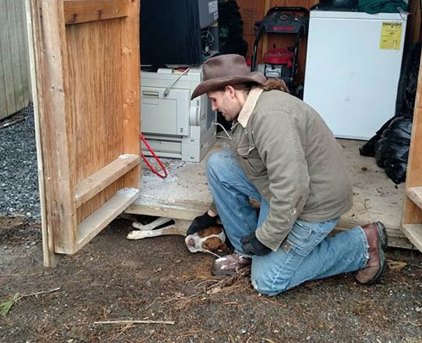 Man Saves Dog From Being Trapped Under Shed, Realizes He Saved Something More